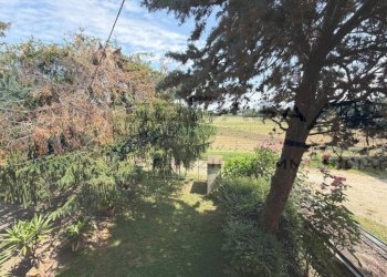 Giardino - Appartamento San Lazzaro di Savena - foto 49