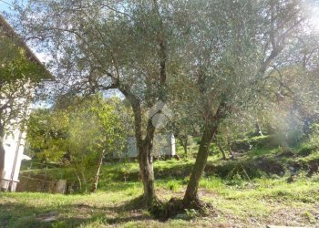Villa Via Brigata Berto, Cogorno - foto 6