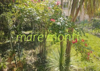 Appartamento Savona (zona Centro) - foto 33
