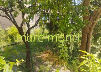 Appartamento Savona (zona Centro) - foto 34