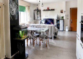 Trilocale Molinella - foto 13