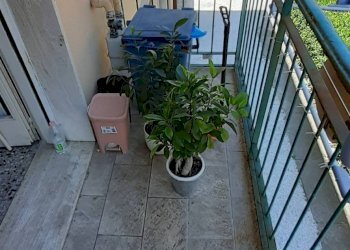 Foto 7 - Three-room apartment Pisa - photo 7