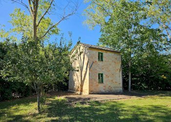 Foto 19 - Rustico Treia - foto 19