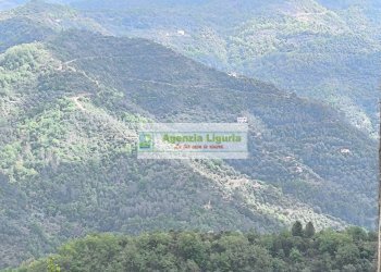 Foto 3 - Appartamento via poggiolino
 
4, Perinaldo - foto 3