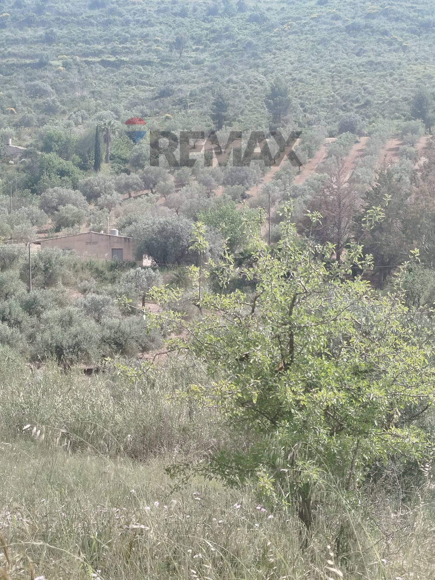 Vista delle montagne - Villa Via Venanzio Marvuglia
snc, Caltagirone - foto 2