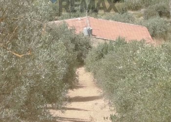 Non correlato - Villa Via Venanzio Marvuglia
 
snc, Caltagirone - foto 1