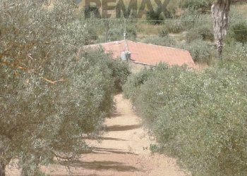 Non correlato - Villa Via Venanzio Marvuglia
 
snc, Caltagirone - foto 13
