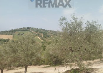 Vista delle montagne - Villa Via Venanzio Marvuglia
 
snc, Caltagirone - foto 14
