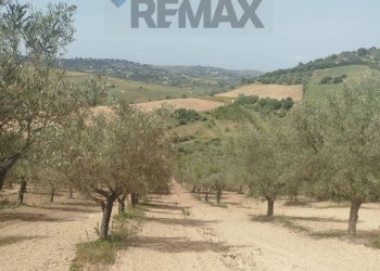 Vista delle montagne - Villa Via Venanzio Marvuglia
 
snc, Caltagirone - foto 15