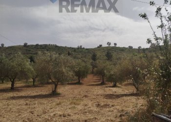Vista delle montagne - Villa Via Venanzio Marvuglia
 
snc, Caltagirone - foto 16