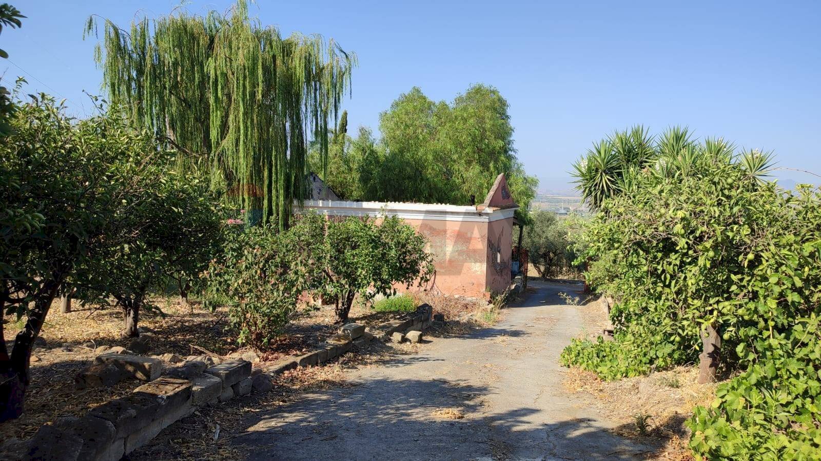 Giardino - Terreno agricolo Contrada Prefalaci
 
snc, Paterno - foto 1