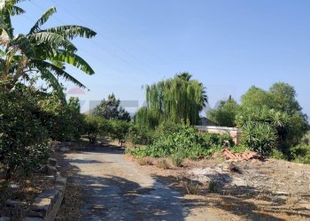 Giardino - Agricultural land Contrada Prefalaci
 
snc, Paterno - photo 4
