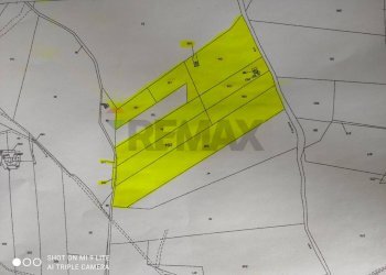 Pianta 2D - Agricultural land Contrada Prefalaci
 
snc, Paterno - photo 5