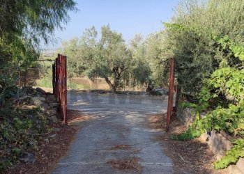 Giardino - Agricultural land Contrada Prefalaci
 
snc, Paterno - photo 6