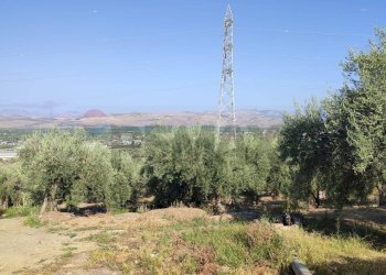 Vista delle montagne - Agricultural land Contrada Prefalaci
 
snc, Paterno - photo 26
