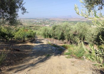 Vista delle montagne - Agricultural land Contrada Prefalaci
 
snc, Paterno - photo 28