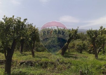 Giardino - Terreno agricolo Contrada Lavina
 
snc, Fiumefreddo di Sicilia - foto 10