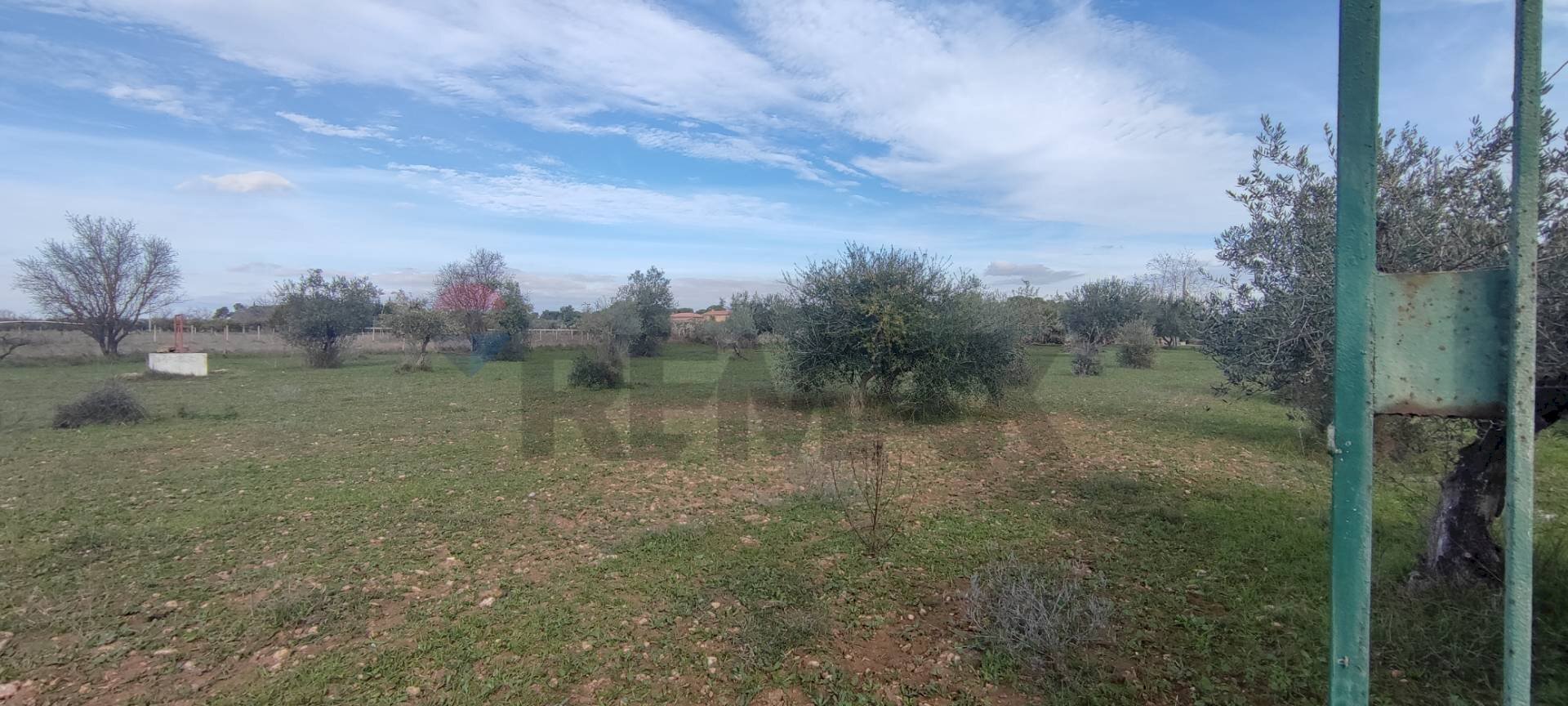 Giardino - Terreno agricolo VIA ANDROMEDA
SN, Caltagirone - foto 3