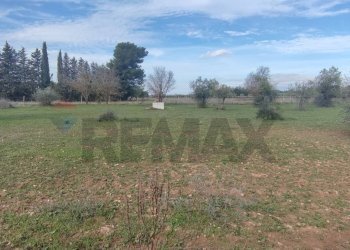 Giardino - Terreno agricolo VIA ANDROMEDA
 
SN, Caltagirone - foto 4