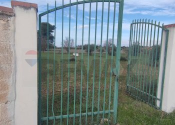 Non correlato - Terreno agricolo VIA ANDROMEDA
 
SN, Caltagirone - foto 6