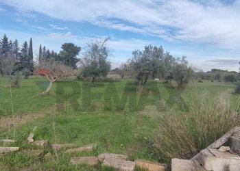 Giardino - Terreno agricolo VIA ANDROMEDA
 
SN, Caltagirone - foto 8
