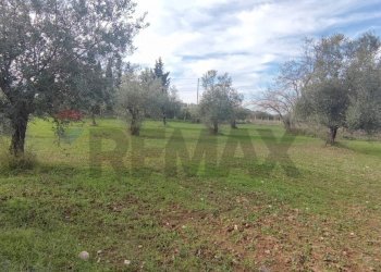 Giardino - Terreno agricolo VIA ANDROMEDA
 
SN, Caltagirone - foto 11