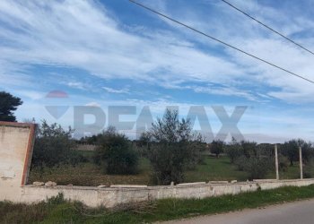 Edificio all\'aperto - Terreno agricolo VIA ANDROMEDA
 
SN, Caltagirone - foto 13