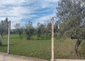 Giardino - Terreno agricolo VIA ANDROMEDA
 
SN, Caltagirone - foto 14