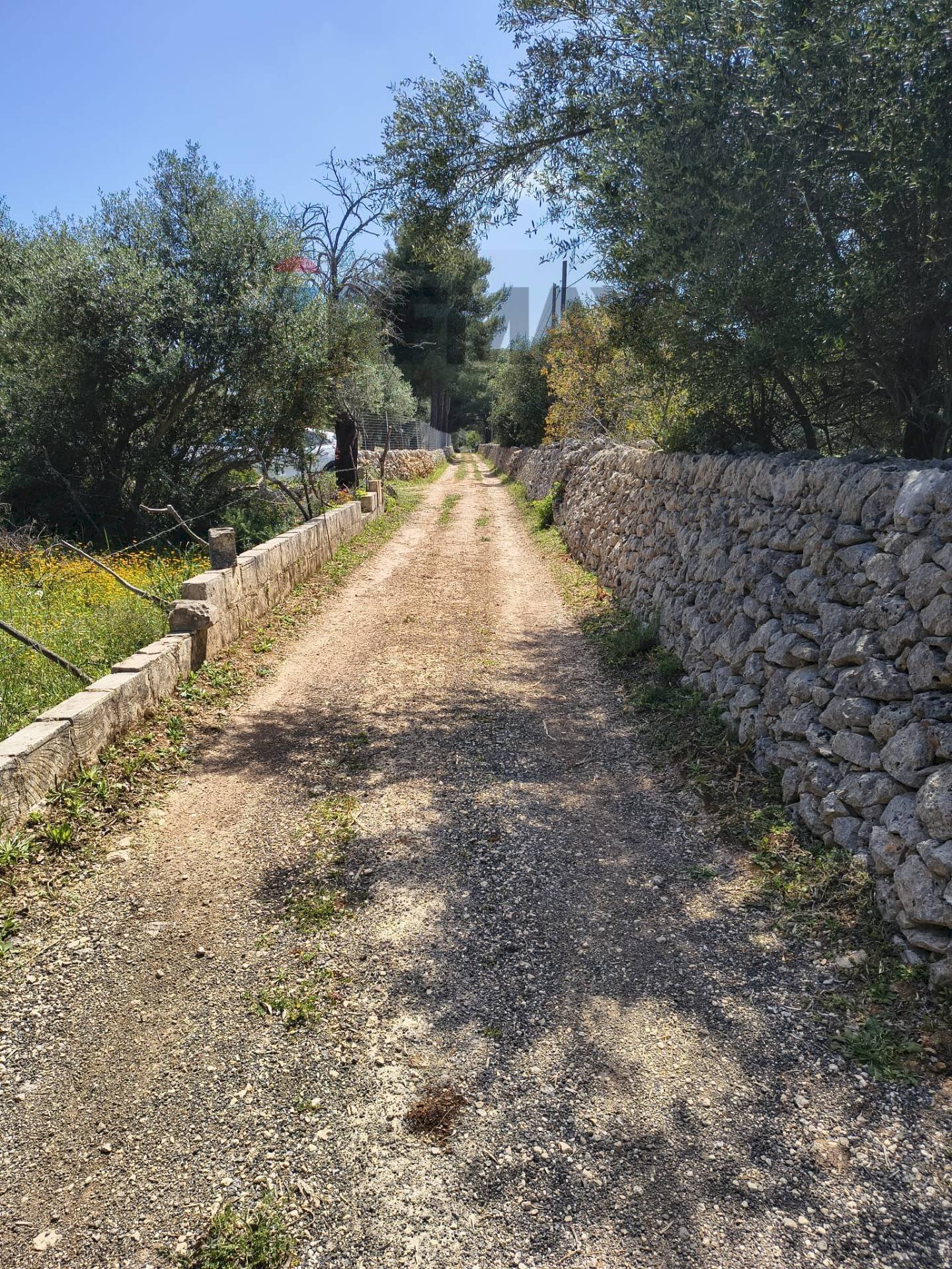 Giardino - Building land Traversa la marchesa
 
snc, Noto - photo 1
