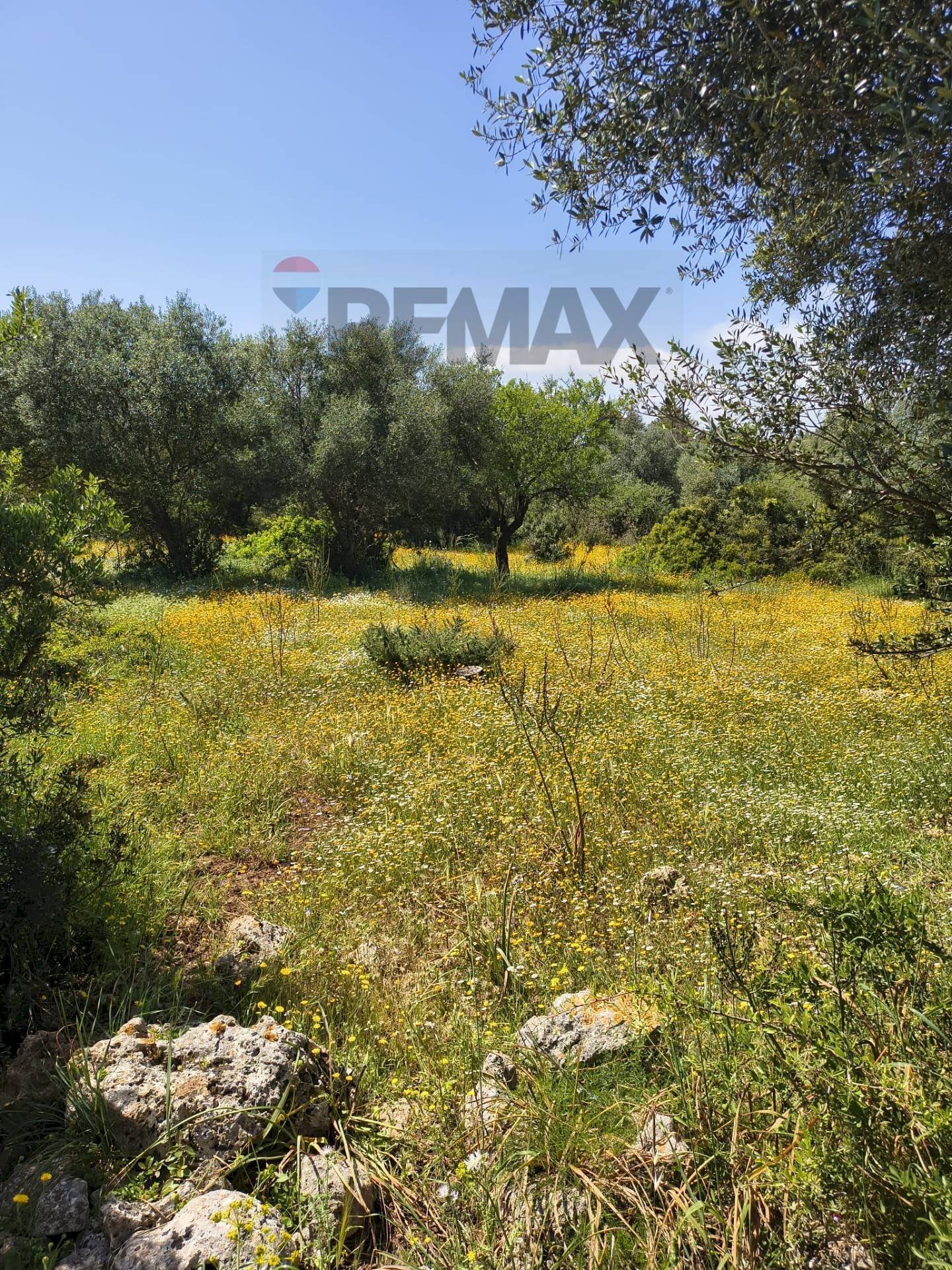 Giardino - Building land Traversa la marchesa
 
snc, Noto - photo 3