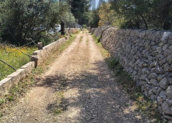 Giardino - Building land Traversa la marchesa
 
snc, Noto - photo 1