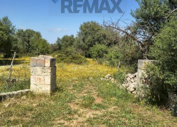 Giardino - Building land Traversa la marchesa
 
snc, Noto - photo 2