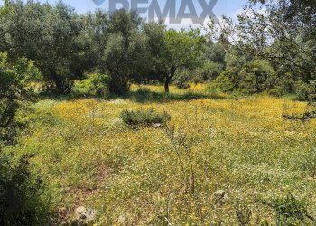 Giardino - Building land Traversa la marchesa
 
snc, Noto - photo 3
