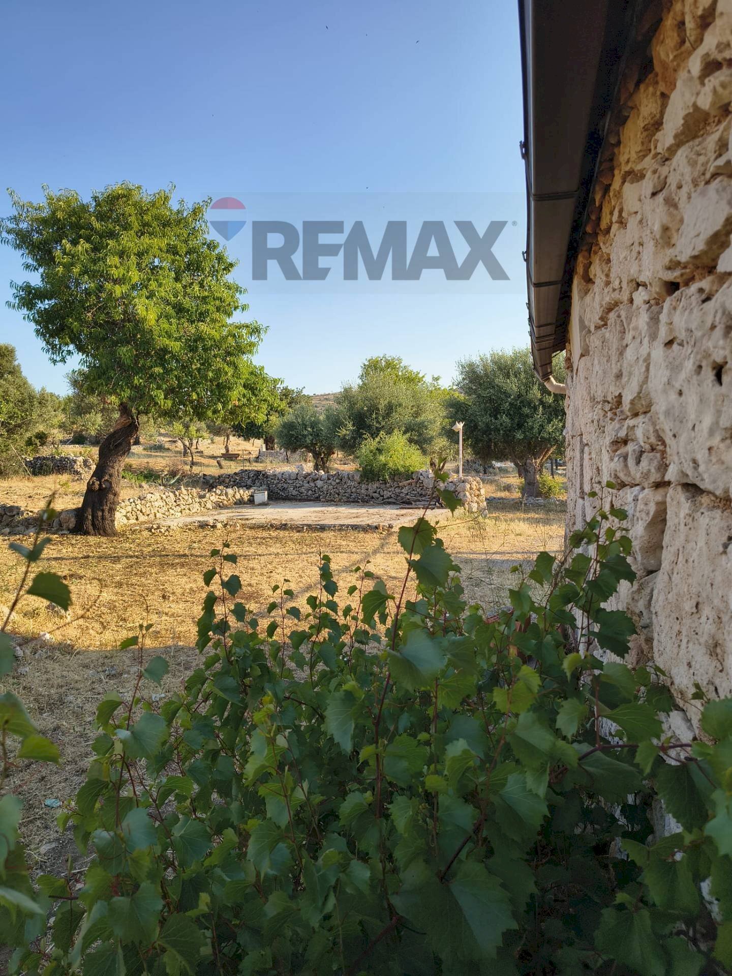 Giardino - Building land Traversa la marchesa
 
snc, Noto - photo 3