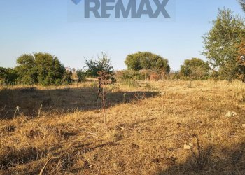 Giardino - Building land Traversa la marchesa
 
snc, Noto - photo 6