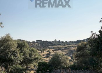 Non correlato - Building land Traversa la marchesa
 
snc, Noto - photo 10