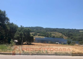 Foto 4 - Terreno edificabile Ripatransone - foto 4