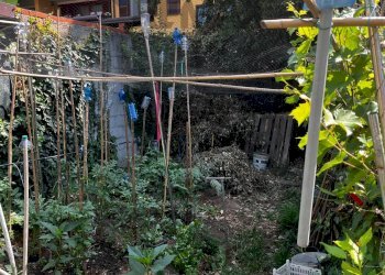 Giardino di proprietà - Rustico Magenta - foto 12