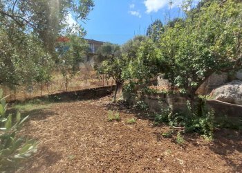 Giardino - Villa contrada traversa  KM 11300 SP16
 
snc, Ventimiglia di Sicilia - photo 35