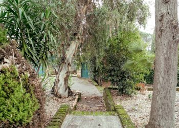 Giardino - Villa Via Di Santa Maria Di Galeria
504, Roma - photo 55