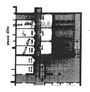 Pianta 2D - Trilocale Viale Vittorio Veneto
 
9, Gallarate - planimetria 1