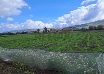 Vista delle montagne - Terreno edificabile via Leonardo Sciascia
59, Comiso - foto 9
