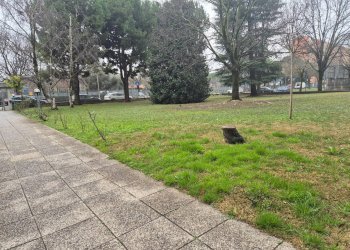 Foto 8 - Bilocale VIA CARISIO
 
36, Verona - foto 8