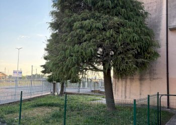 Edificio all\'aperto - Shed Salizzole - photo 15