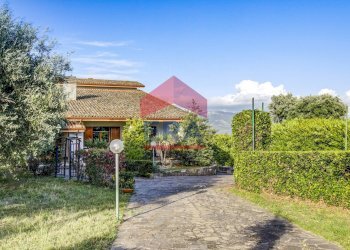 Viale di ingresso - Villa Via  di Colle Perino, Velletri - photo 11