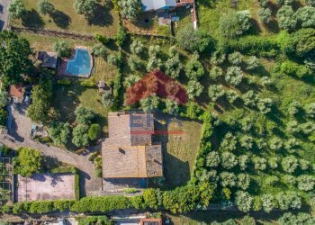 Uliveto - Villa Via  di Colle Perino, Velletri - photo 42