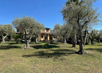 Foto 88 - Villa ponte brandinu
 
99/m, Sassari - foto 88