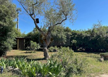 Foto 96 - Villa ponte brandinu
 
99/m, Sassari - foto 96