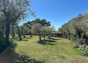 Foto 100 - Villa ponte brandinu
 
99/m, Sassari - foto 100