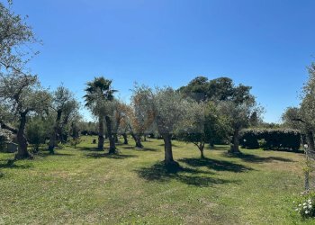 Foto 101 - Villa ponte brandinu
 
99/m, Sassari - foto 101